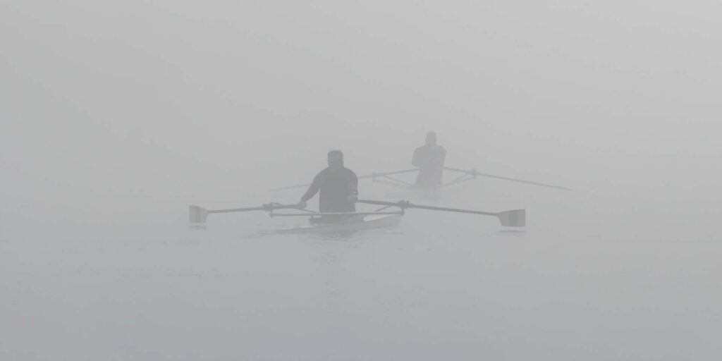 Autre vivant & Ambiance