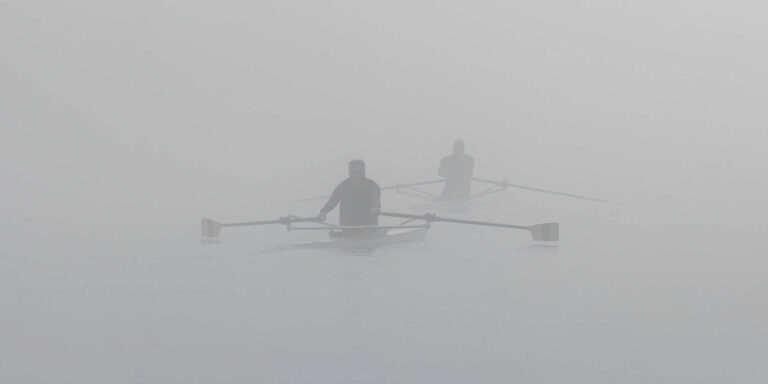 Autre vivant & Ambiance