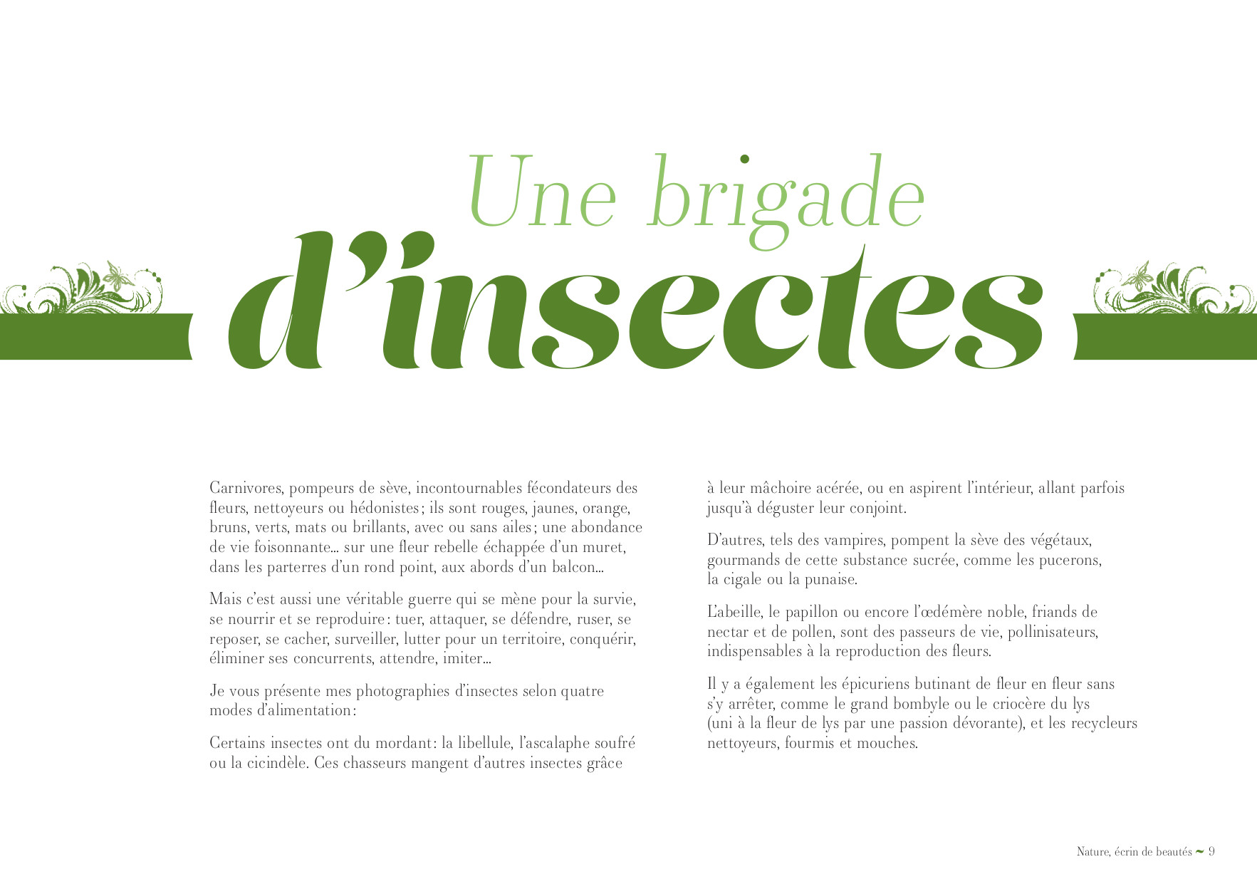 Livre "Nature, écrin de beautés" – Image 5